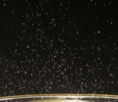 Droplets from sparkling over a glass